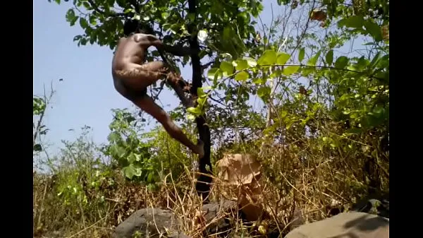 شاهد Village Boy Nude Safar In Forest Play With Tree's أنبوب رائع