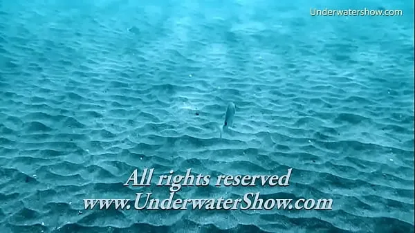 Watch Enjoy thick chicks underwater lesbians cool Tube