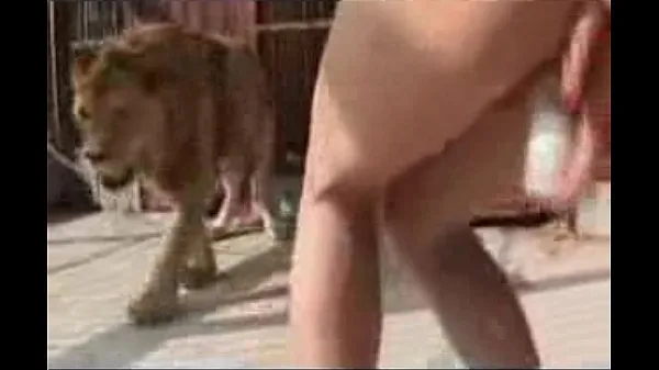 Παρακολουθήστε το fucking near a lion cool Tube